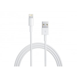 Cable usb blanc Pour Iphone 5 / 5S/ 5C / 6
