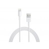 Cable usb blanc Pour Iphone 5 / 5S/ 5C / 6